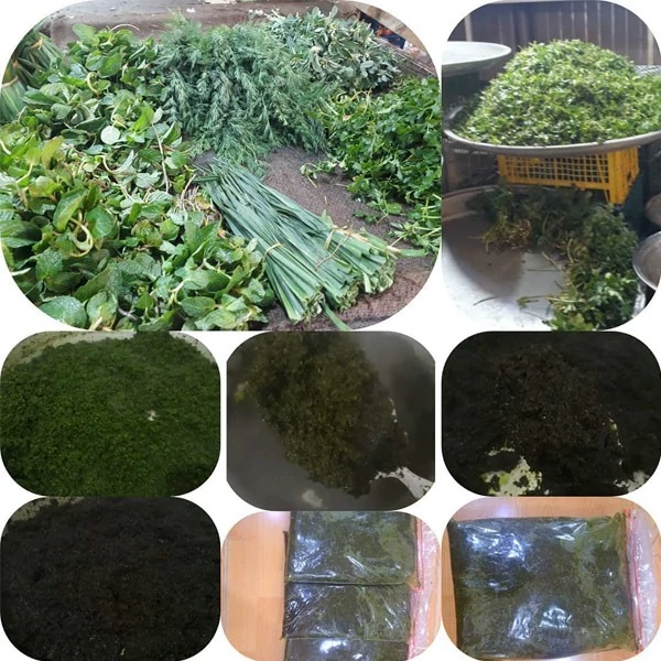 قورمه سبزی سرخ شده سیاه وپرسرخ،یک کیلویی، گیلان.رشت