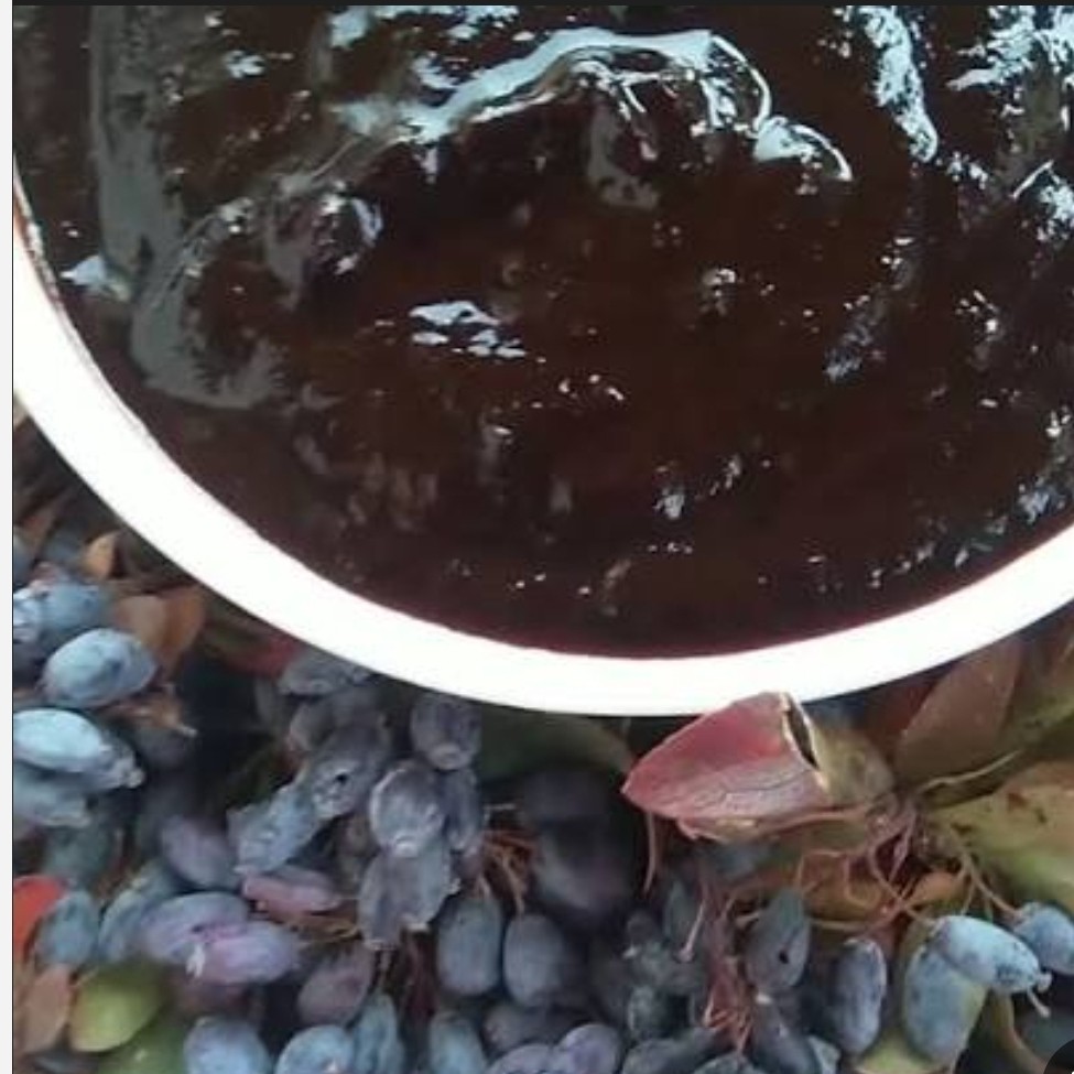 رب زرشک کوهی وترش،نیم کیلویی گیلان.رشت