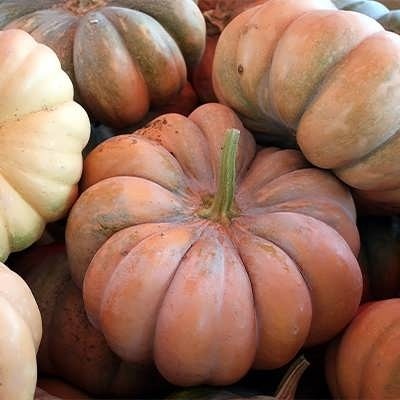 کدو حلوایی شیرین وخوشمزه ،یک کیلویی،گیلان.رشت