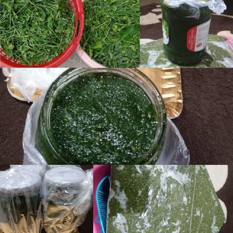 دلال ماهی ،دلار ماهی،درار ماهی (فقط سبزی )،نیم کیلویی،گیلان.رشت
