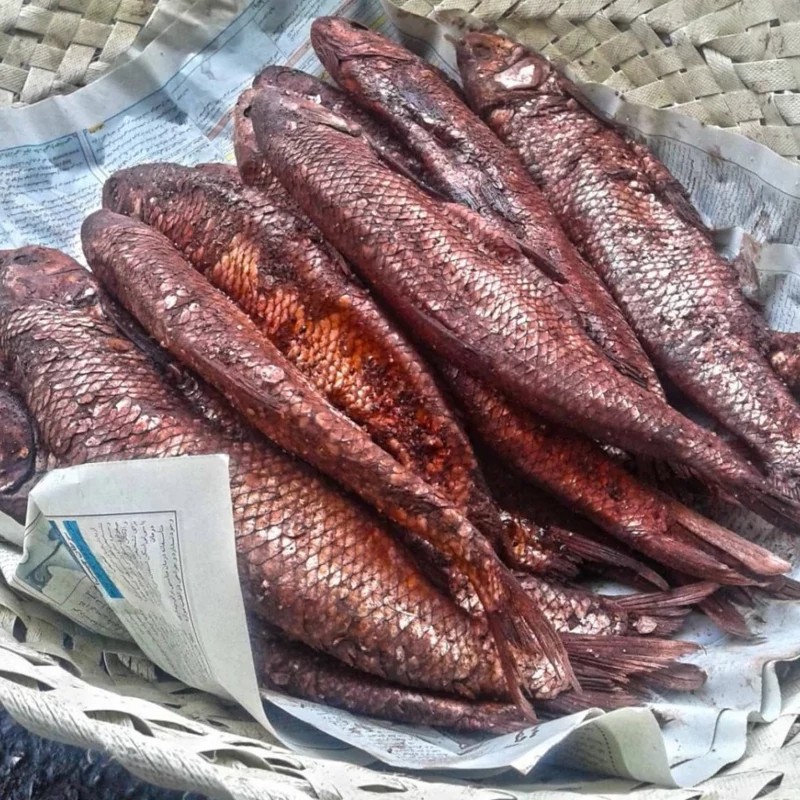 ماهی شور سفید خانگی ودرجه یک(ماهی نر)،گیلان.رشت