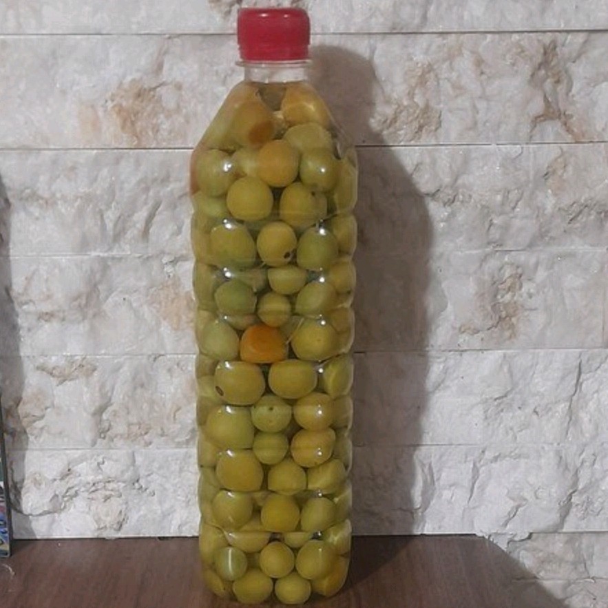ترشی آلوچه جنگلی ترش ترش،ترشی گوجه سبز جنگلی ترش 500 گرمی گیلان.رشت
