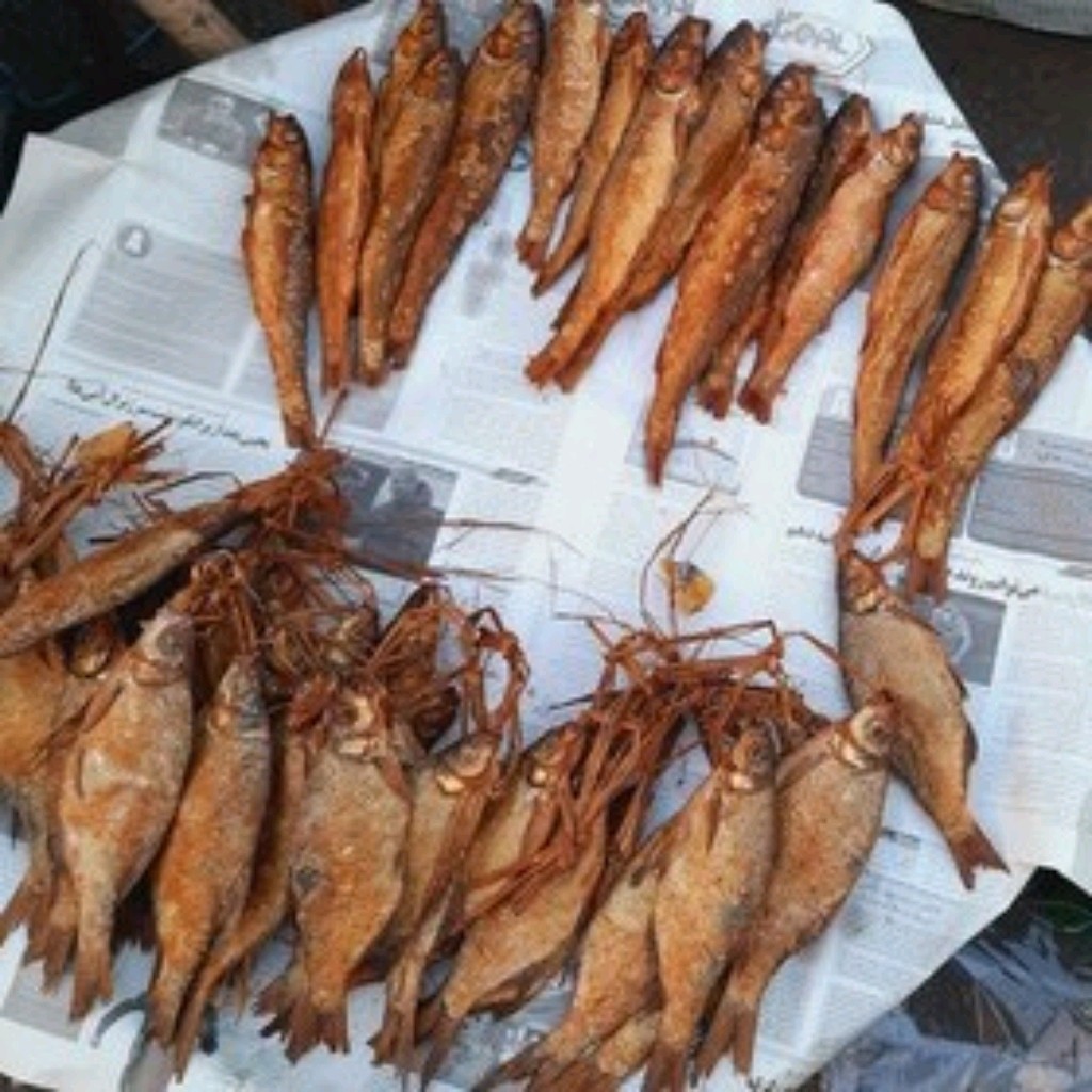 ماهی دودی سایز کوچیک دوعددی خانگی واطمینانی ،درجه یک گیلان.رشت
