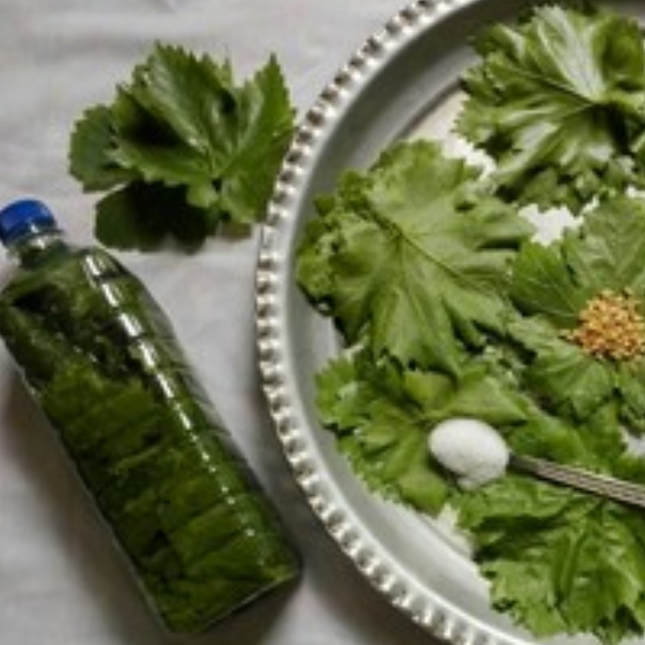 ترشی برگ مو امساله عالی خانگی وتازه گیلان.رشت