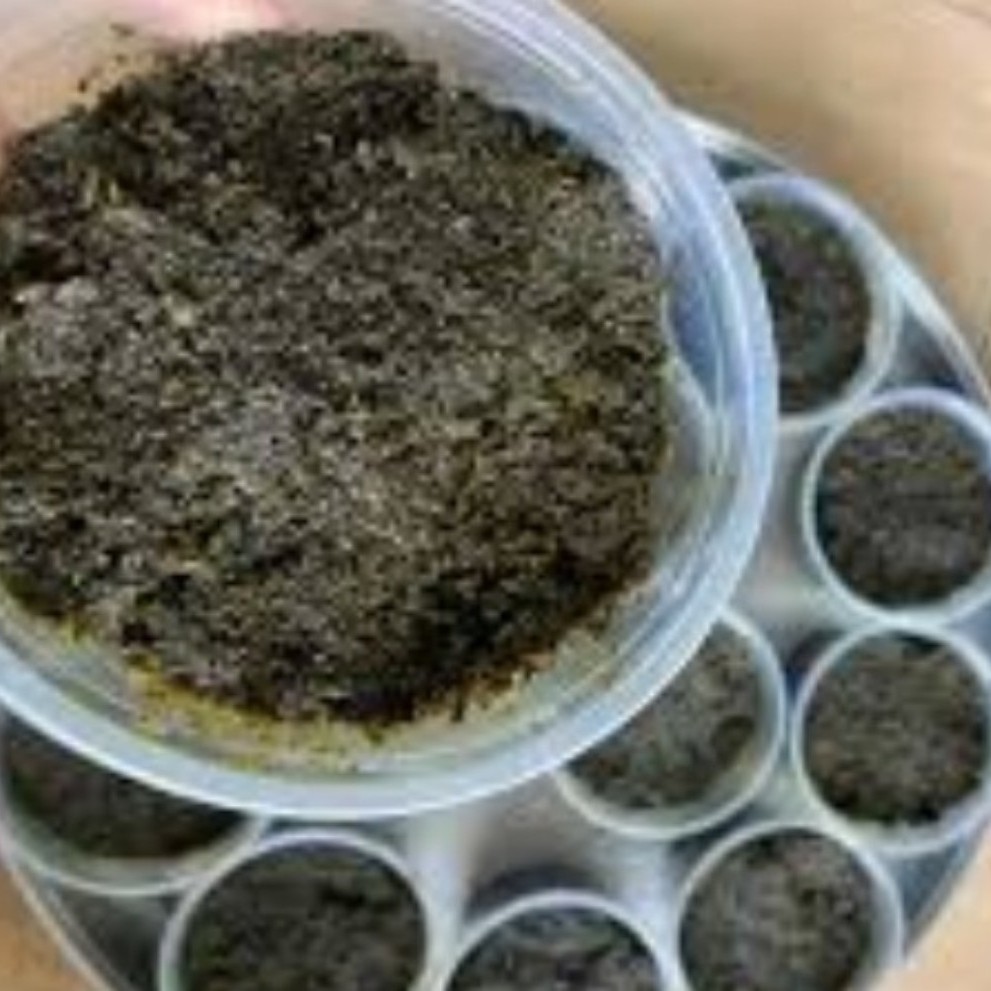 سبزی سرخ شده،پرسرخ وسیاه، یک کیلویی ارسال راه دور گیلان.رشت