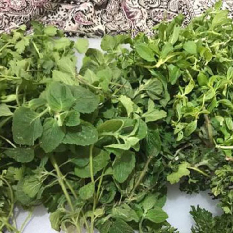 دلارماهی،دلال ماهی،درارماهی یک کیلویی رشت.گیلان