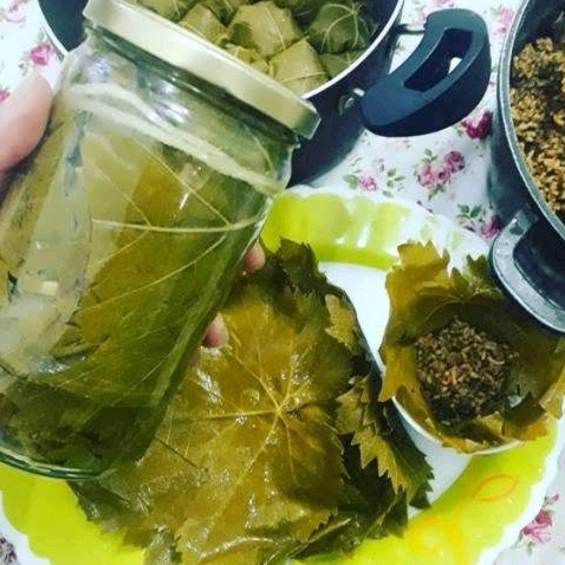 برگ مو ،بهاری،یک کیلویی ،گیلان.رشت